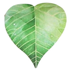  t 30 ӂ  pi i  Xe[Vi[ t C`E gt ~W 킢  O[ ItBX wZ