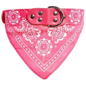  ybgp o_i OpXJ[t   L X^C 悾ꂩ  J[ yCY[ U ߂  