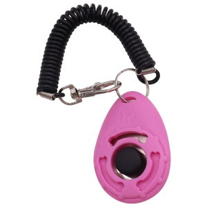  ybgpNbJ[ ybgpi  Ck g[jO P   Xgbvt  O 킢 JoLx