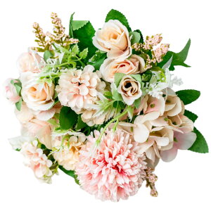    t[ KN o O Q ڂ  킢 ԑ u[P JoLx  rO t[AWg CeA