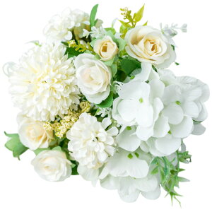    t[ KN o O Q ڂ  킢 ԑ u[P JoLx  rO t[AWg CeA