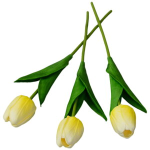   tFCNt[ lHt[ 9{Zbg ԑ `[bv  t[AWg CeAG lH ͂Ȃ GKg