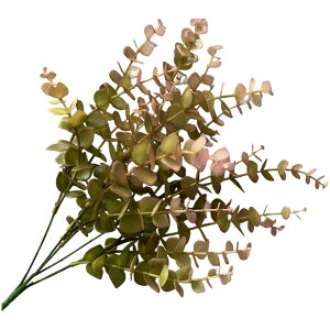  tFCNO[ lHϗtA   1{ Pi [t t   CeA ͂Ȃ rO  gC ʏ Q  i` 킢