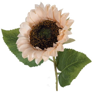   tFCNt[ Ђ܂ 3{Zbg CeA A[gt[  Tt[ lt[ q} ԍ ԏ t[AWg fBXvC  fR