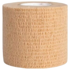  X|[cpT|[ge[v X|[ce[v e[v Lke[v F3Zbg 5cm e[sO T|[ge[v ʋC ֐ I G  w  Vv