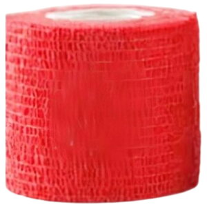  X|[cpT|[ge[v X|[ce[v e[v Lke[v F3Zbg 5cm e[sO T|[ge[v ʋC ֐ I G  w  Vv