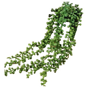  tFCNO[ lHϗtA    ݂艺 [t t   CeA Aؔ ͂Ȃ A  O rO  gC ʏ Q  