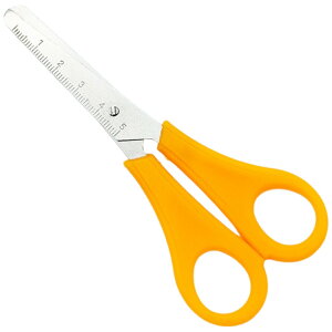  nT~  LbY qǂp qp ̎q j̎q [ H쓹 pG G ڐt