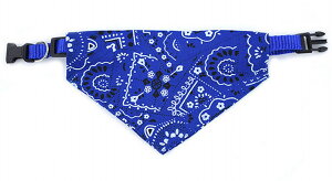  ybgpo_i XJ[t X^C 悾|  hbO hbO ^ ^  `[J[  킢 U DJt JWA X|[eB[ ANZg