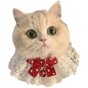  ybgpX^C p Lp 悾ꂩ `[J[ ANZT[  t [X MK`FbN 킢  LbgEFA