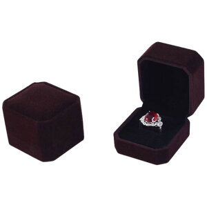  WG[P[X OP[X ANZT[P[X O w sAX CO tl  JoLx v[g Mtg 킢 