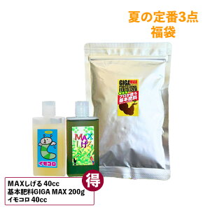 Ă̒ ϗtA 琬  SҌ t̔엿 MAX {엿 GIGAMAX ΍ CR RoG JV A ΍