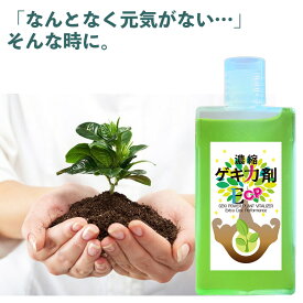 濃縮ゲキ力剤ECP 活力剤 園芸 初心者 ガーデニング お庭 花咲く 水やり 薄めて ミネラル 活力 サポート