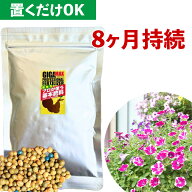 【置き肥・元肥】8ヶ月効く 固形肥料 プロが使う基本肥料 GIGAMAX（200g）200g 効く肥料 植え替え ガーデ…