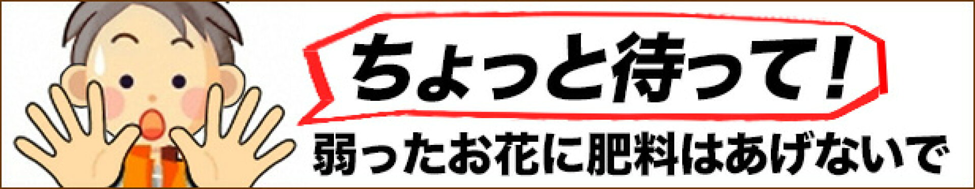 ちょっと待って！弱ったお花に肥料はあげないで！