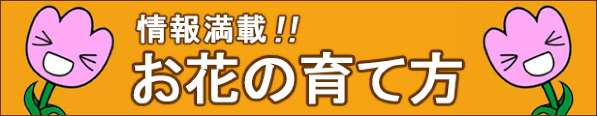 お花の育て方