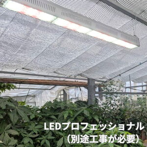 Plant NEXLIGHT A琬LEDCg