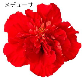 楽天市場 ハイビスカス 八重 花 観葉植物 花 ガーデン Diy の通販 楽天市場 ハイビスカス 八重 花 観葉植物 花 ガーデン Diy の通販