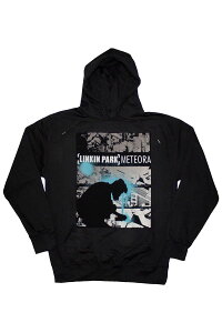 LINKIN PARK Unisex Pullover Hoodie: Meteora Drip Collage (Black) - BLACK
