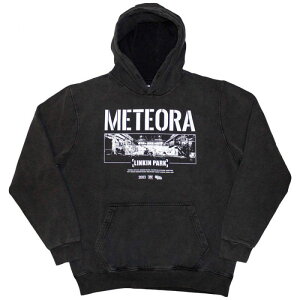 LINKIN PARK Unisex Pullover Hoodie: Meteora Wall Art (Wash Collection)