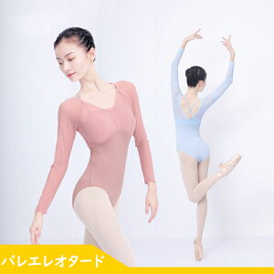  oGI^[h l s[X XJ[gȂ oGߑ q  oGpi ̑ _X K Xe[Wߑ bX _X JWA  \ tBbglX K