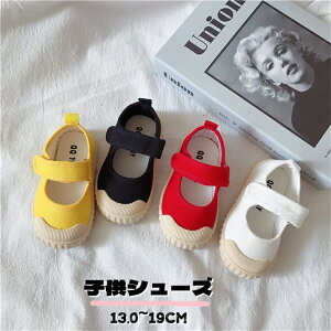  qV[Y qC 㗚 LbY   }WbNe[v ̎q  fUC w  JWA  WjA tHC t ۈ牀 ۈ珊 wN fbL