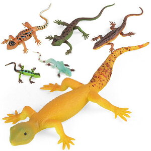  gJQ̂ Ƃ nEB Xl[N _~[  ǂ  tBMA nEB W[N   p[eB[ObY NX}X v[g hbL