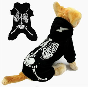  ybg hbOEFA   Lp ^  nEC Halloween [  ϐg  RX`[ nEB o[K[Lbg RXv RX`[