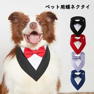  ybgEFA tH[} 悾^I ܎O RXv ߑ RX`[ L ^  hbOEFA ̕ ^ m   ybg p  q pi ybgpi 