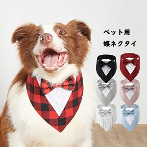  ybgEFA tH[} 悾^I ܎O RXv ߑ RX`[ L ^  hbOEFA ̕ ^ m   ybg p  q pi ybgpi 