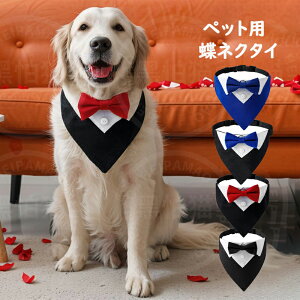  ybgEFA tH[} 悾^I ܎O RXv ߑ RX`[ L ^  hbOEFA ̕ ^ m   ybg p  q pi ybgpi 