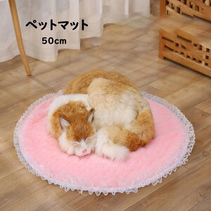  ybg}bg Lp ybgxbh Lp ^/Lp  Q Lp k LObY  _炩 y v[g 50cm