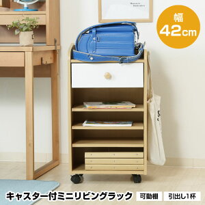 ~jrObN LX^[t 42cm o1t I hZu [ ؐ LbY q bN {I w bXobO q ȏ w     