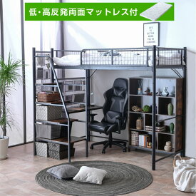 画期的 階段式 ロフトベッド システムベッド 木製 本棚付 USBポート付 耐荷重300kg 耐震式 高品質 低価格 収納ポケットプレゼント中 ISO認定工場生産 省スペ−ス 木目が美しい スチール製 大人 子供 用 デスク付き コンセント 階段式ムーン プレミアム -GKI