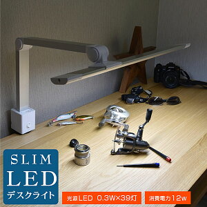 XLEDfXNCg wK  邢  ڂɗD Nv wKp rWlX ItBX p\R PC