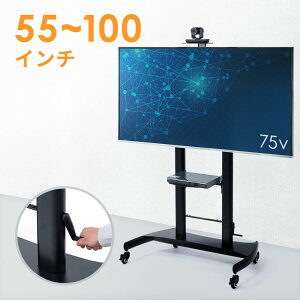erX^h nC^Cv LX^[ px ^ 55`100C`ڈ ړ ㉺~  Ɩp I dq EEX-TVS015