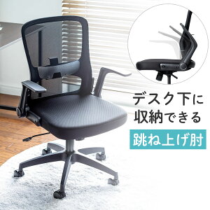 bV`FA ItBX`FA bLO o[T|[g e[N I ˏグ PC`FA [N`FA   ubN EZ15-SNCM018BK