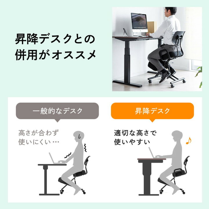 楽天市場】【最大1,000円オフクーポン発行中】バランスチェア 大人 