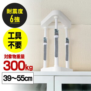 ϐk ˂_ 40cm 50cm ]|h~ Ƌ I {I ʌŒ ͈39`55cm Ώۏdʕ300kg Hsv EZ2-QL015