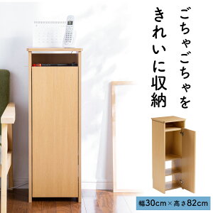 [^[[{bNX f[ bN P[u{bNX R[h[ Ԏ[ ؐ t t@bNX db FAX X 30cm CguE R[hP[X EZ2-CB028LM