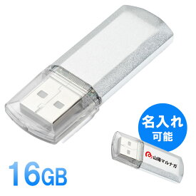 USBメモリ 16GB キャップ式 名入れ可能 EZ6-UFD16GN2【ネコポス対応】