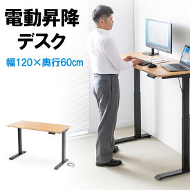 【ランク別最大P10倍~4/27 9:59まで】昇降デスク 電動 スタンディングデスク 幅120cm 奥行き60cm 薄い木目 高さメモリー付き 座りすぎ防止 昇降式デスク 電動昇降デスク 在宅勤務 テレワーク 立ち仕事 EZ1-ERD034LM