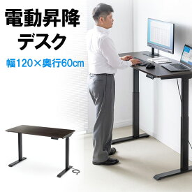 【ランク別最大P10倍~4/27 9:59まで】昇降デスク 電動 スタンディングデスク 幅120cm 奥行き60cm 濃い木目 高さメモリー付き 座りすぎ防止 昇降式デスク 電動昇降デスク 在宅勤務 テレワーク 立ち仕事 EZ1-ERD034M