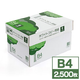 コピー用紙 B4サイズ 500枚×5冊 2500枚 高白色 EZ3-CP1B4