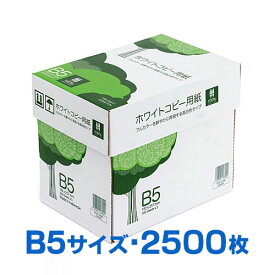 【最大2,500円クーポン発行中】コピー用紙 B5サイズ 500枚×5冊 2500枚 高白色 EZ3-CP1B5