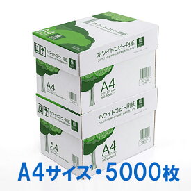 コピー用紙 A4サイズ 500枚×10冊 5000枚 高白色 EZ3-CP1A4-2