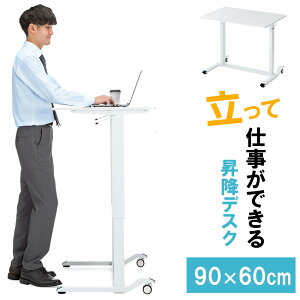 ~fXN KX X^fBOfXN y Ƒ 肷h~ 90cm s60cm p\RfXN e[N ݑ[N zCg EZ1-ERD040W