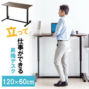 ~fXN KX X^fBOfXN y Ƒ 肷h~ 120cm s60cm p\RfXN e[N ݑ[N ؖ uE EZ1-ERD041M