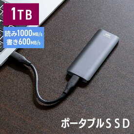 ポータブルSSD 1TB 高速 小型 外付け Type-A/Type-Cケーブル付き USB3.2 Gen2 テレビ録画 PS5/PS4/Xbox Series X EZ6-USSDL1TB