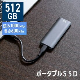 ポータブルSSD 512GB 高速 小型 外付け Type-A/Type-Cケーブル付き USB3.2 Gen2 テレビ録画 PS5/PS4/Xbox Series X EZ6-USSDL512GB